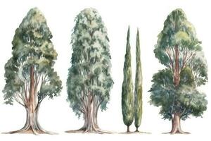 HandDrawn Watercolor Cypress Trees Collection for Forest Landscapes Generative AI photo