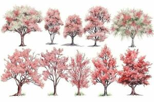 Dogwood Tree Forest Watercolor Collection Generative AI photo