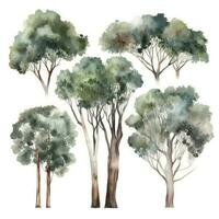 HandDrawn Watercolor Eucalyptus Trees Collection Set of Trees in a Forest Generative AI photo