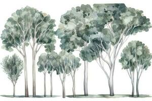 HandDrawn Watercolor Eucalyptus Trees Collection for Forest Scenes Generative AI photo