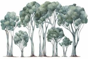 HandDrawn Watercolor Eucalyptus Trees Collection Set of Eucalyptus Trees in a Forest Generative AI photo