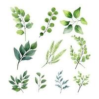 Green Leaf Watercolor Floral Illustration Set for Wedding Stationery and Greetings Generative AI photo