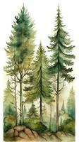 Majestic Watercolor Forest Landscape with Pine Trees and Deer photo