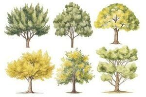 gingko árbol bosque colección dibujado a mano acuarela conjunto Perfecto para naturaleza diseños generativo ai foto