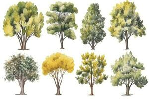 HandDrawn Watercolor Ginkgo Trees Collection Set of Ginkgo Trees for a Serene Forest Scene Generative AI photo