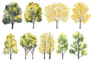 HandDrawn Watercolor Ginkgo Trees Collection Set of Ginkgo Trees in a Forest Generative AI photo