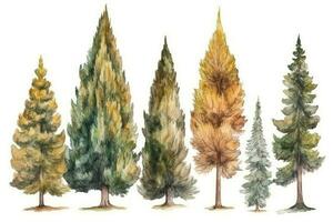 Lush Watercolor Larch Tree Forest Collection Generative AI photo