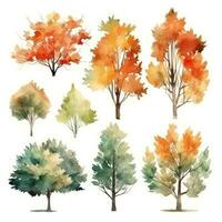 HandDrawn Watercolor Maple Trees Collection Set of Maple Trees for Forest Scenes Generative AI photo