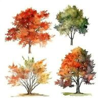 HandDrawn Watercolor Maple Trees Collection Set of Maple Trees for a Forest Scene Generative AI photo