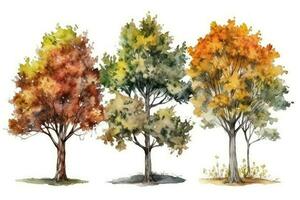 HandDrawn Watercolor Maple Trees Collection A Forest of Maple Trees Generative AI photo