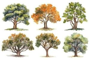 HandDrawn Watercolor Oak Trees Collection A Forest of Oak Trees Generative AI photo