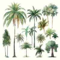 Tropical Paradise HandDrawn Watercolor Palm Trees Collection Generative AI photo