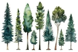 HandDrawn Watercolor Pine Trees Collection A Pack of Pine Trees for Forest Scenes Generative AI photo