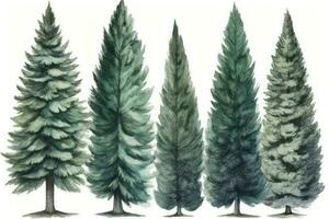 HandDrawn Watercolor Spruce Trees Collection for Forest Scenes Generative AI photo