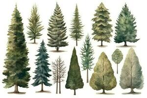 HandDrawn Watercolor Spruce Trees Collection for Forest Scenes Generative AI photo