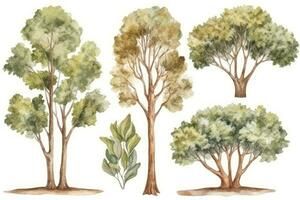 HandDrawn Teak Tree Forest Collection Generative AI photo