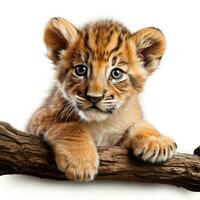 Adorable Lion Cub Resting on a Branch AI Generated photo