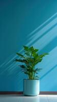 Brightly Lit Room with Full Blue Wall and Green Plant AI Generated photo