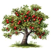 Watercolor Apple Tree Clipart on White Background AI Generated photo