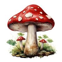 Watercolor Mushroom Clipart on White Background AI Generated photo