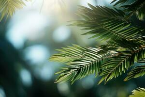 Closeup of Green Palm Leaf in Nature AI Generated photo