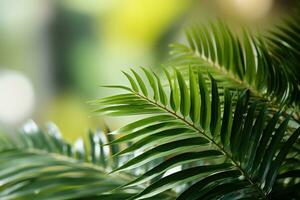 Closeup of Green Palm Leaf in Nature AI Generated photo