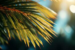 Closeup of Green Palm Leaf in Nature AI Generated photo