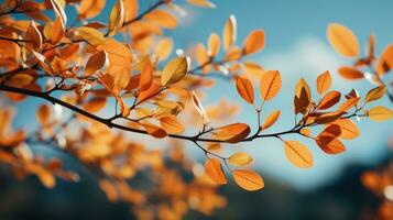 Autumn Leaves with Copy Space AI Generated photo