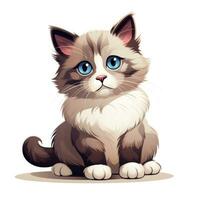 Adorable Ragdoll Kitten Clipart on White Background AI Generated photo