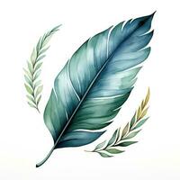 Elegant Watercolor Clipart of a Large Leaf on White Background AI Generated photo