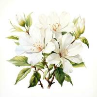 elegante blanco acuarela clipart de delicado Boda estilo floración ai generado foto