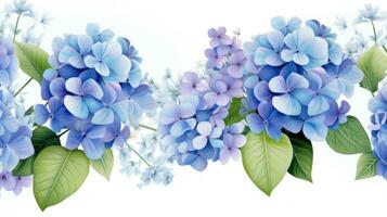 Colorful Hydrangeas Plants with Leaves and Flowers AI Generated photo