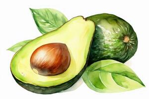 Watercolor Avocado Clipart on White Background AI Generated photo