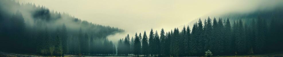 Enchanting Misty Autumn Forest with Sharp Details AI Generated photo