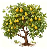 Pear Tree Clipart on White Background AI Generated photo