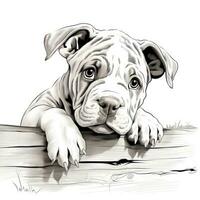 Curious Bulldog Peeking Coloring Page AI Generated photo