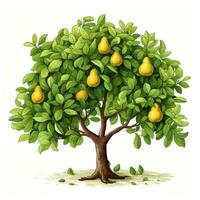 Colorful Pear Tree Clipart for Toddler Book on White Background AI Generated photo