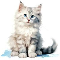 Adorable Ragdoll Kitten Clipart on White Background AI Generated photo