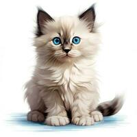 Adorable Ragdoll Kitten Clipart on White Background AI Generated photo