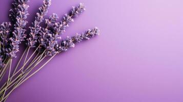 Top View of a Beautiful Single Lavender Flower AI Generated photo