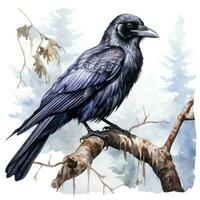 Majestic Watercolor Gothic Raven on White Background AI Generated photo