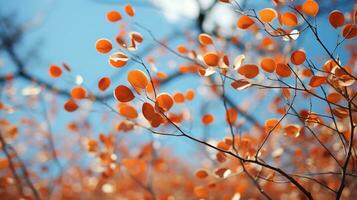 Vibrant Autumn Background Captivating Wormseye View Photography AI Generated photo