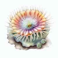 Colorful Watercolor Sea Anemone Illustration for Baby Book AI Generated photo