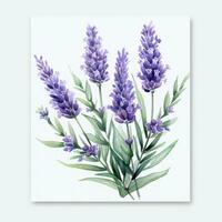 Elegant Watercolor Lavender on a White Background AI Generated photo