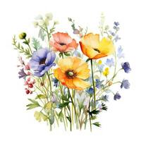 Colorful Watercolor Meadow Flower Clipart on White Background AI Generated photo