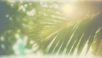 Serene Tropical Beach with Beautiful Green Palm Leaf AI Generated photo