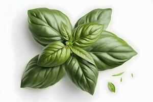 Fresh Basil Leaves on Transparent Background AI Generated photo