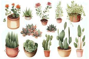Vibrant Outlined Watercolor Illustration of Detailed Potted Plants AI Generated photo
