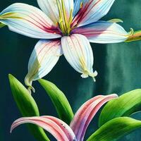 Abundant Lily Watercolor Art on White Background AI Generated photo