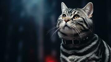 Adorable American Shorthair Cat with a Captivating Gaze AI Generated photo